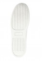 Elsa - Sole